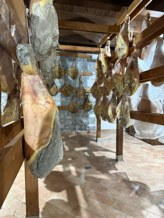 Prosciutti appesi durante la stagionatura